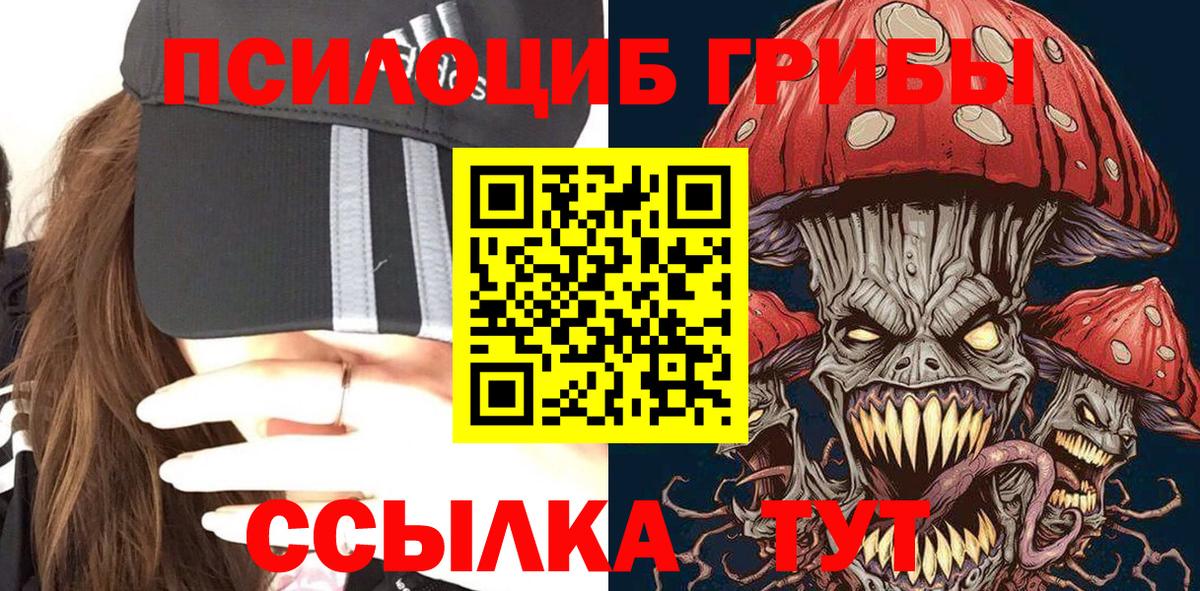 Псилоцибиновые грибы Psilocybe Серов