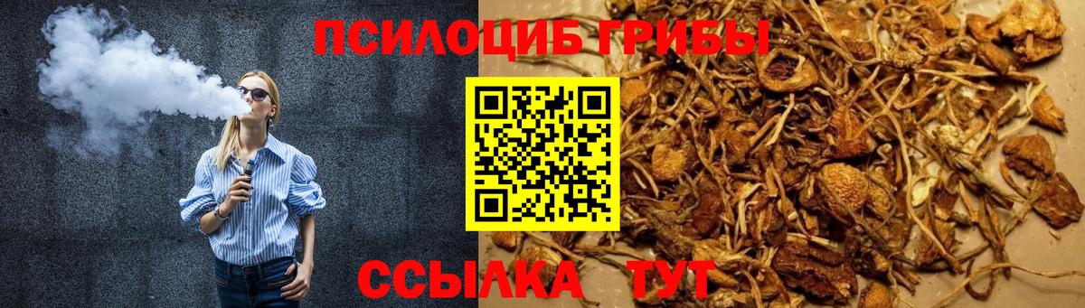 Серов  Псилоцибиновые грибы мицелий  Вход с VPN 